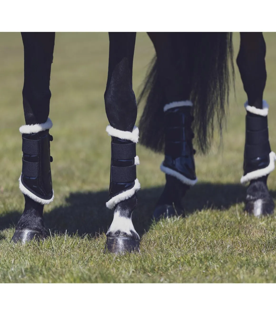 Guêtres fermées vernie et doublée Reflexx 2021 - Eskadron