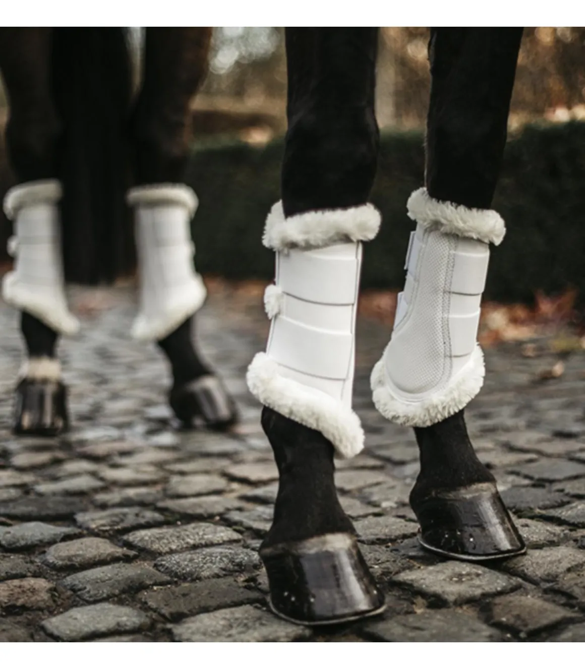 Guêtres Turnout Air - Kentucky