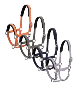 Licol Classic Sports 2022 - Eskadron