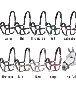 Licol classique - Eskadron