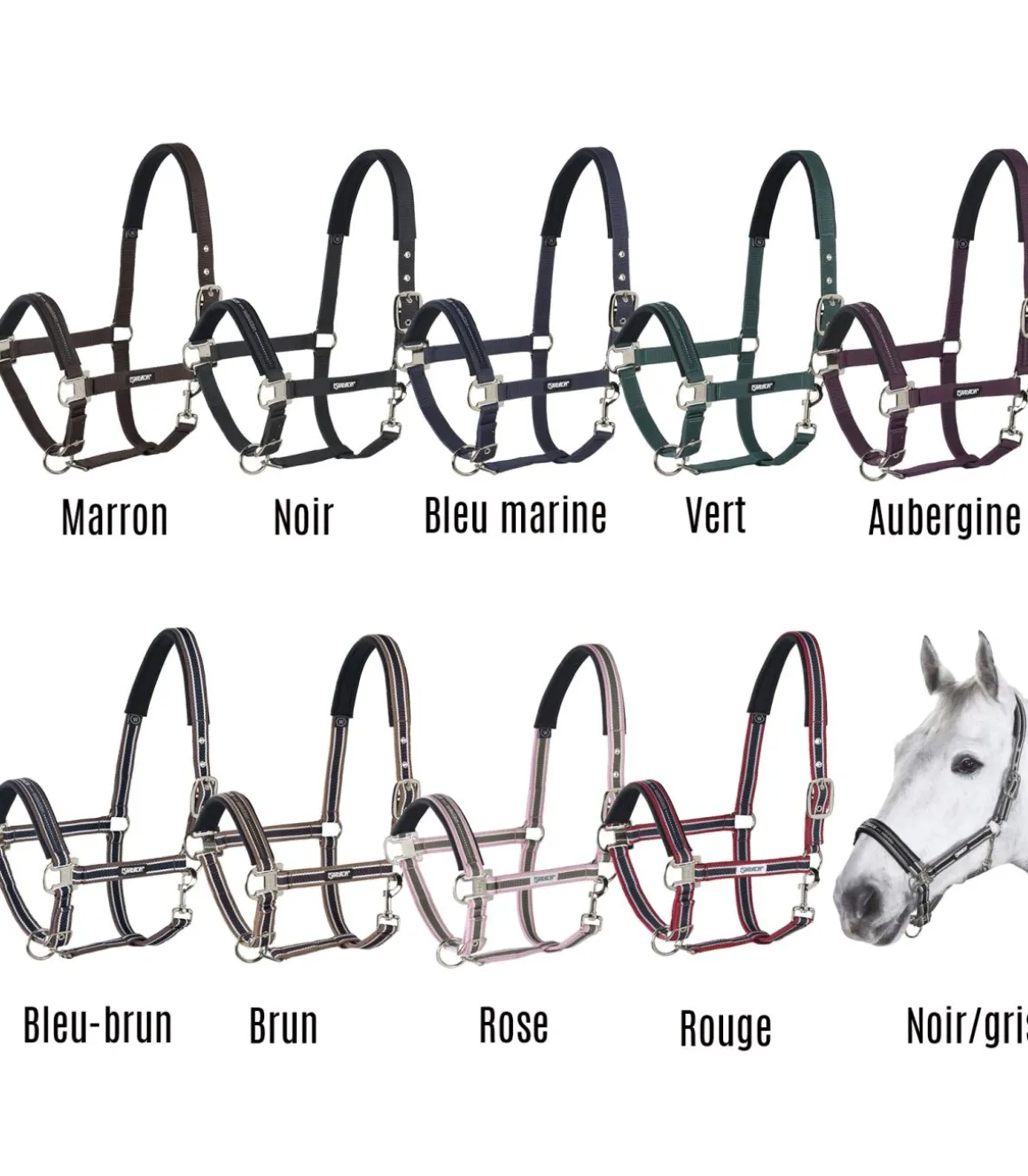 Licol classique - Eskadron