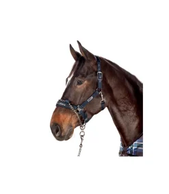 Licol de contrôle Performance - Eskadron