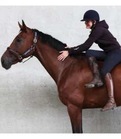 Licol en cuir et élastique Ralph - JMR PRO