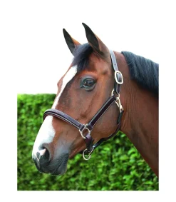 Licol en cuir working collection de chez Dy'on