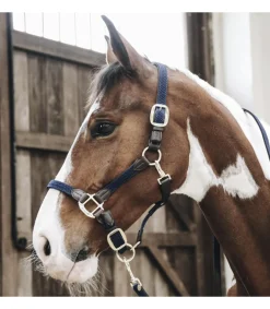 Licol en nylon tressé - Kentucky