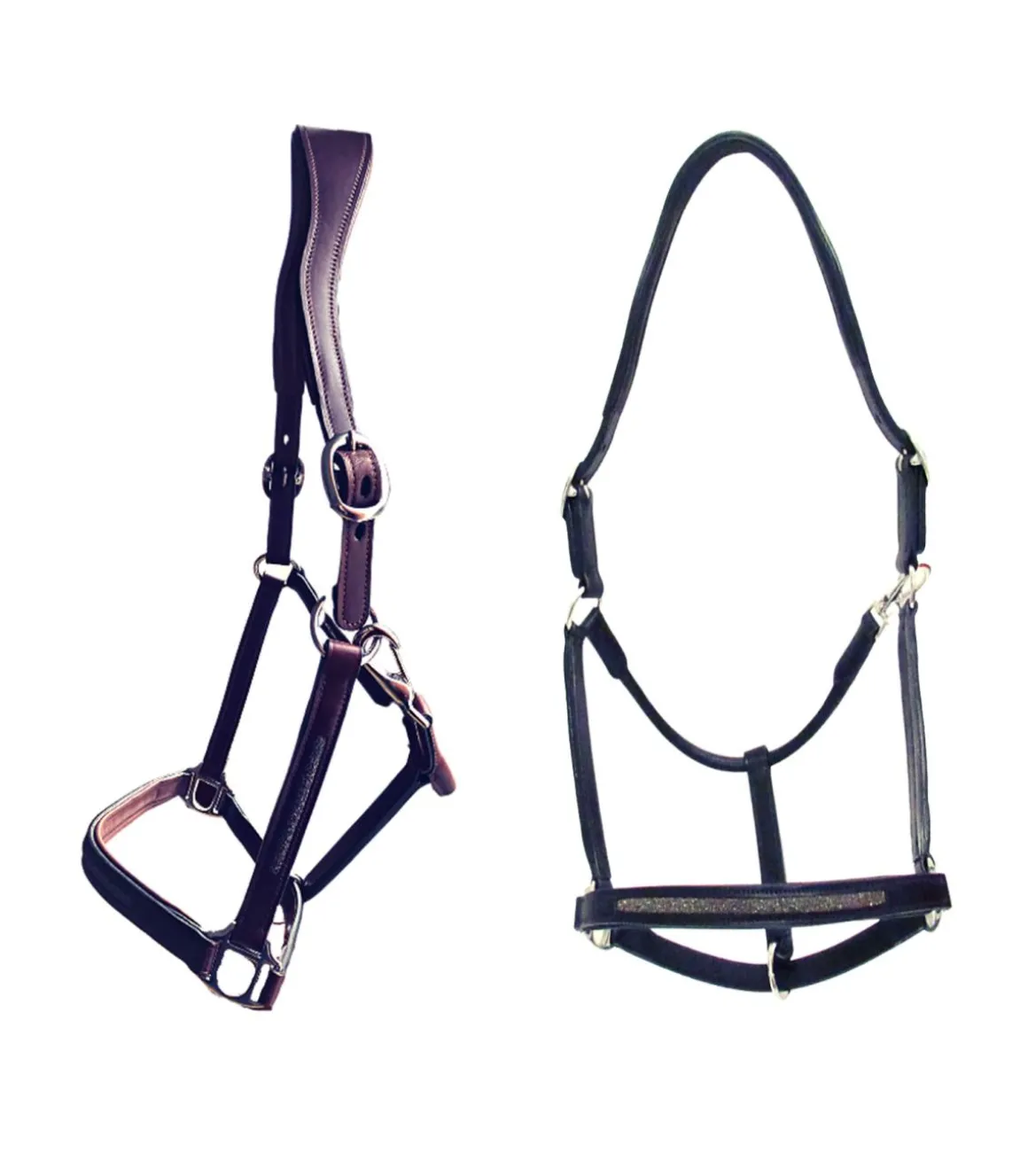 Licol Goldy - Cavaletti