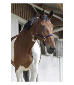 Licol nylon RIDING WORLD