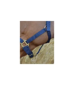 Licol nylon RIDING WORLD