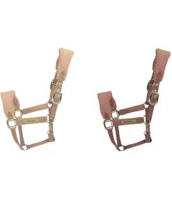 Licol Teddy Fleece - Kentucky