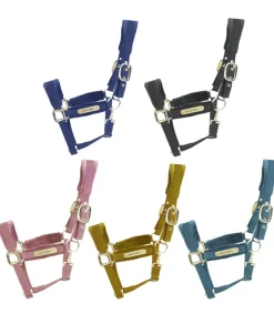 Licol Velvet - Kentucky