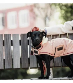 Manteau imperméable avec 160gr pour chien - Kentucky