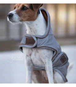 Manteau imperméable réfléchissant pour chien - Kentucky