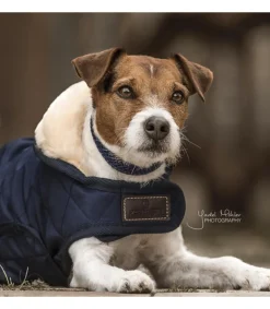 Manteau pour chien - Kentucky