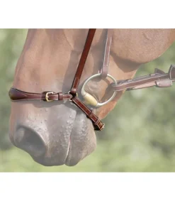 Muserolle allemande avec boucle en laiton - Dy'on