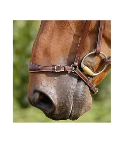 Muserolle allemande avec boucle en laiton - Dy'on