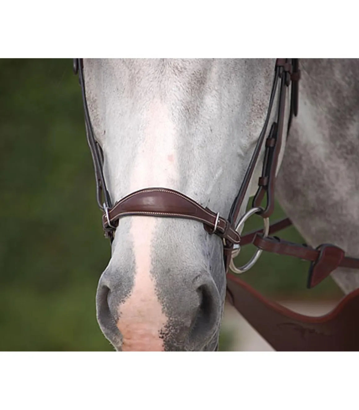 Muserolle allemande avec boucle en laiton - Dy'on