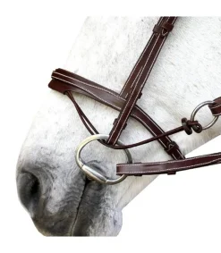 Muserolle éducative VALLA – S*C