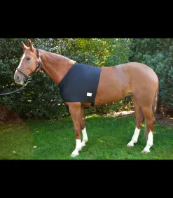 Protection d'épaules contre l'usure du poil du cheval