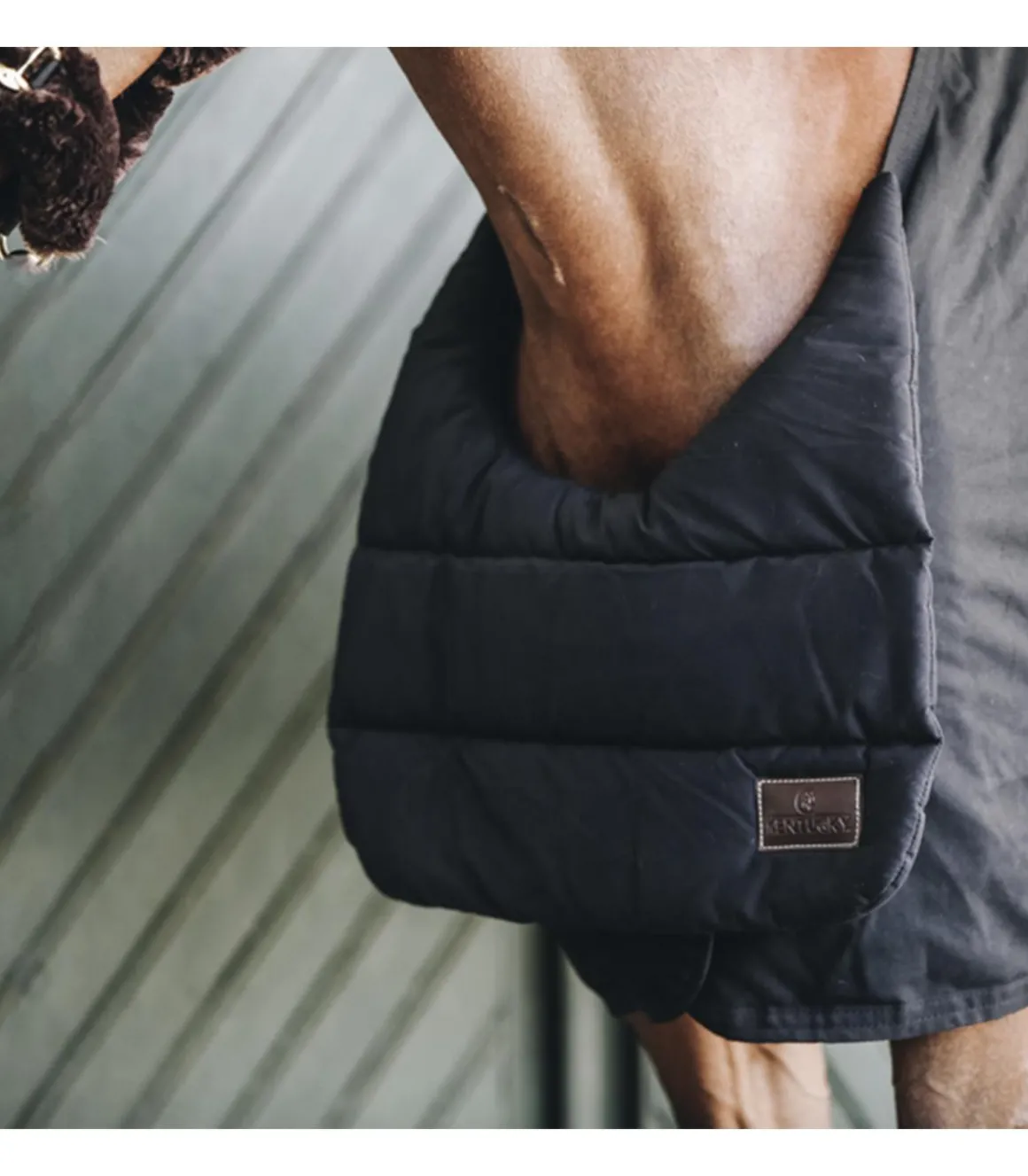 Protection poitrail Summer BIB - Kentucky