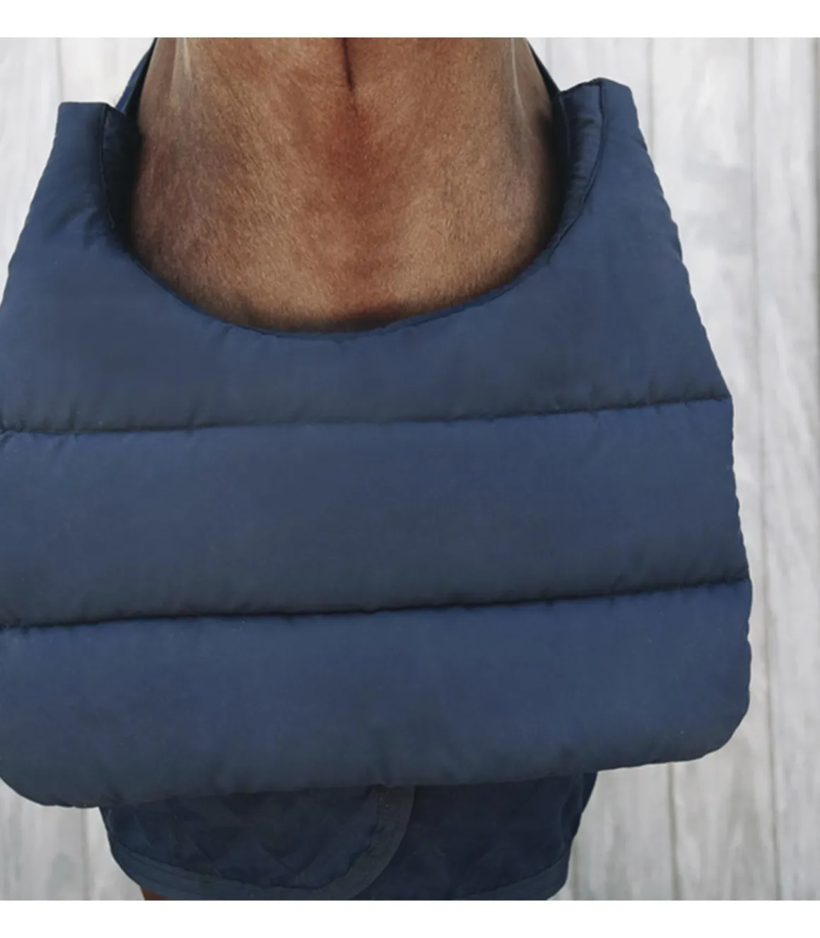 Protection poitrail Summer BIB - Kentucky