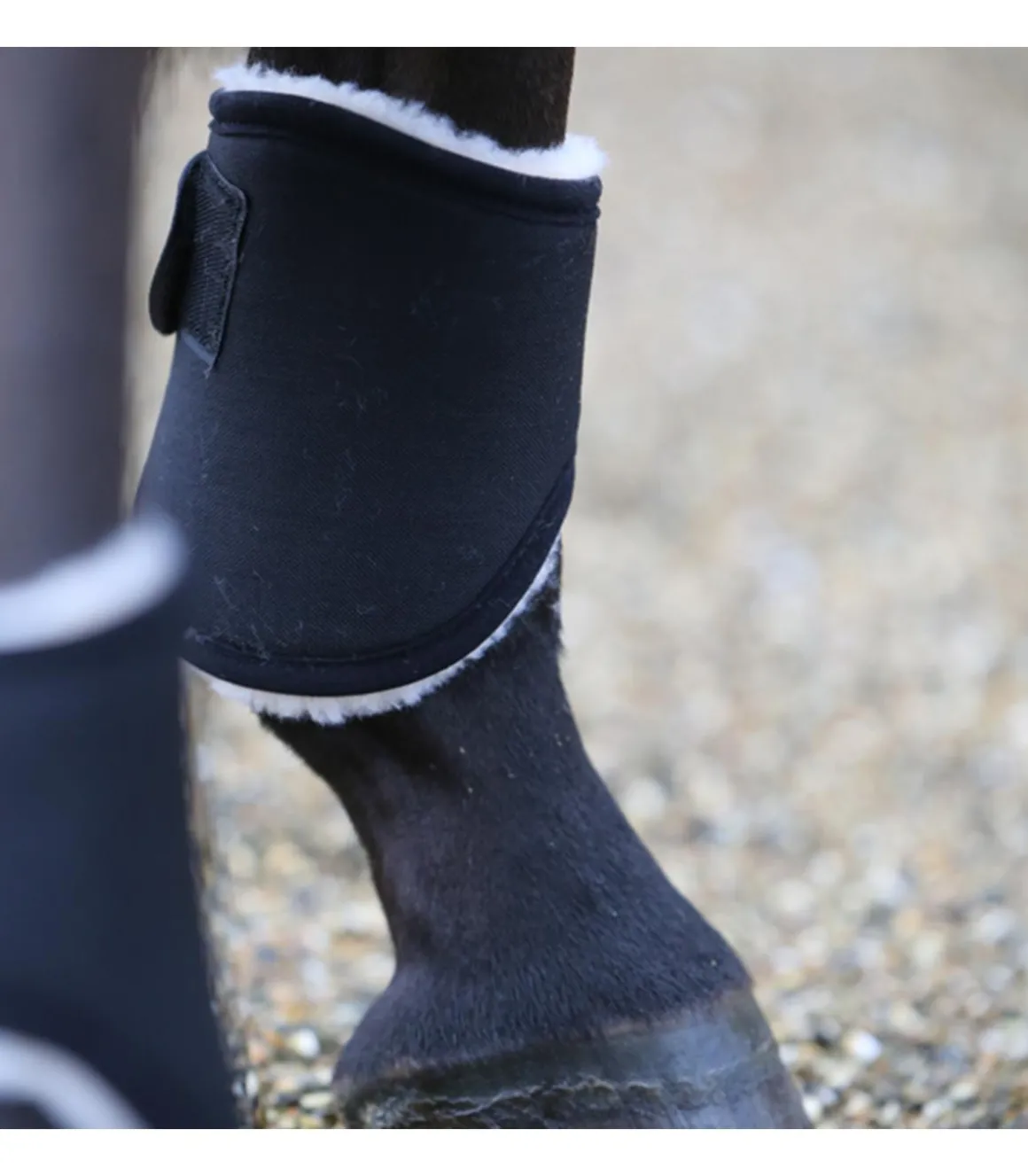 Protège-boulets Turnout Solimbra - Kentucky