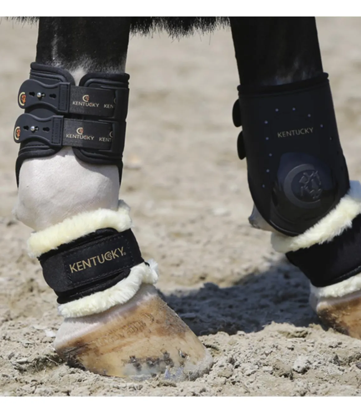 Protège-paturon mouton - Kentucky