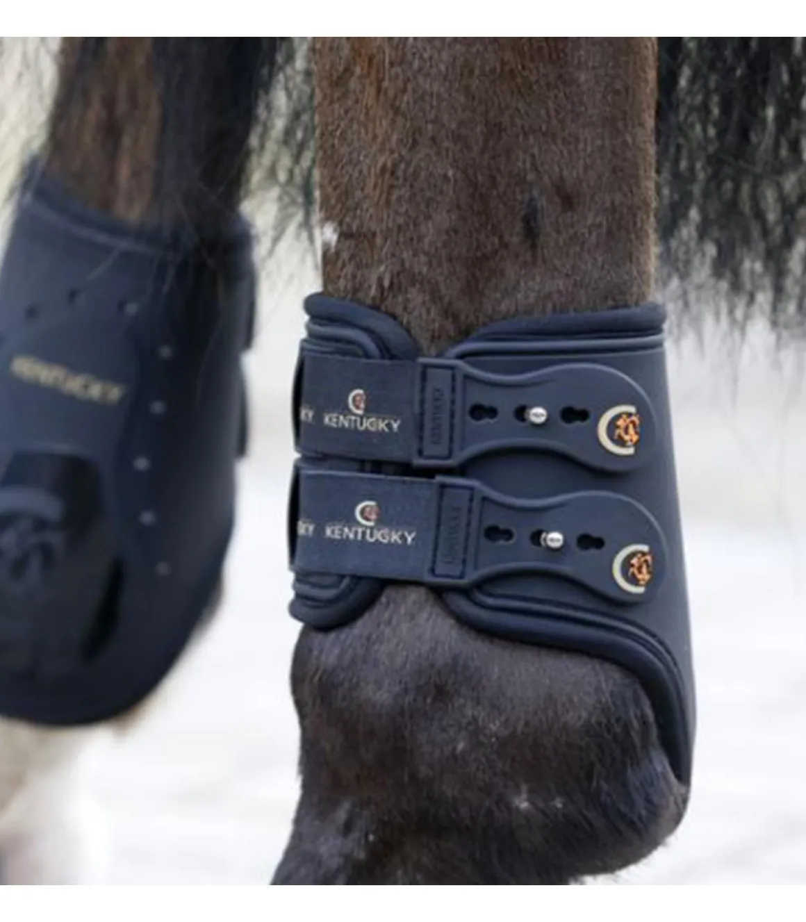 Protèges-boulets Elastic - Kentucky