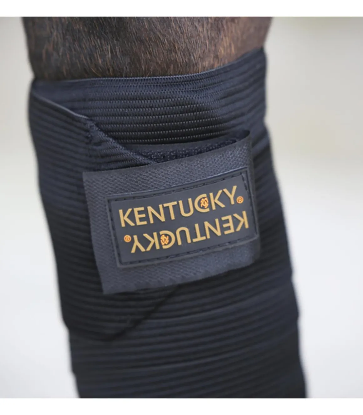 Set de 2 bandes de polo élastiques - Kentucky