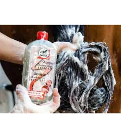 Shampoing SilkCare - Leovet