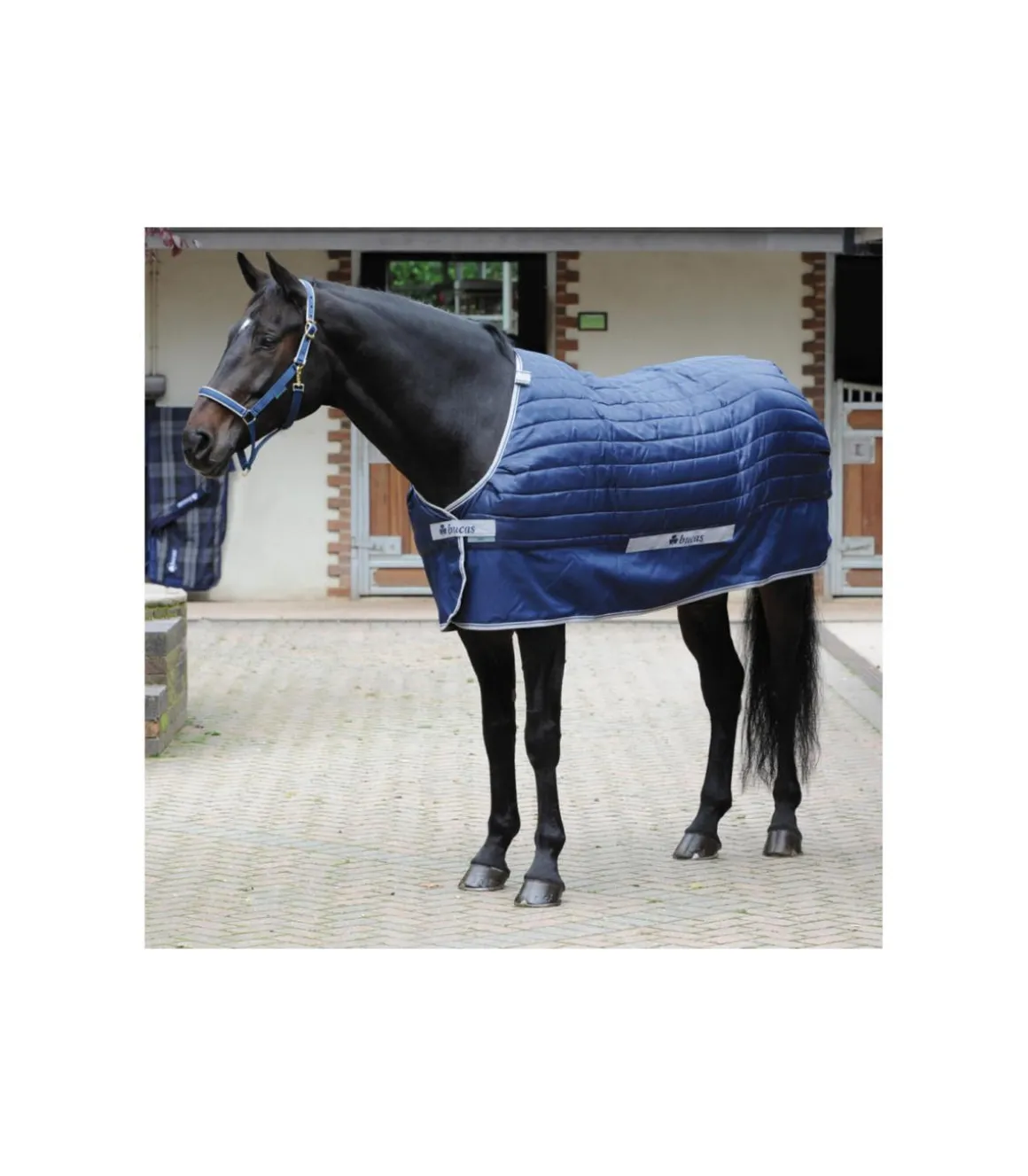 Sous-couverture Quilt 300 stay-dry Bucas