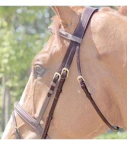 Têtière anatomique Dy'on Collection - Dy'on