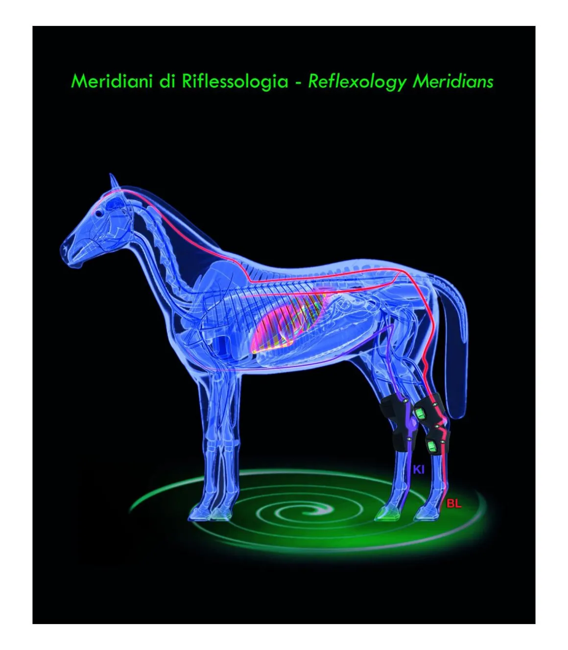 Zandona Therapeutic Air Hock